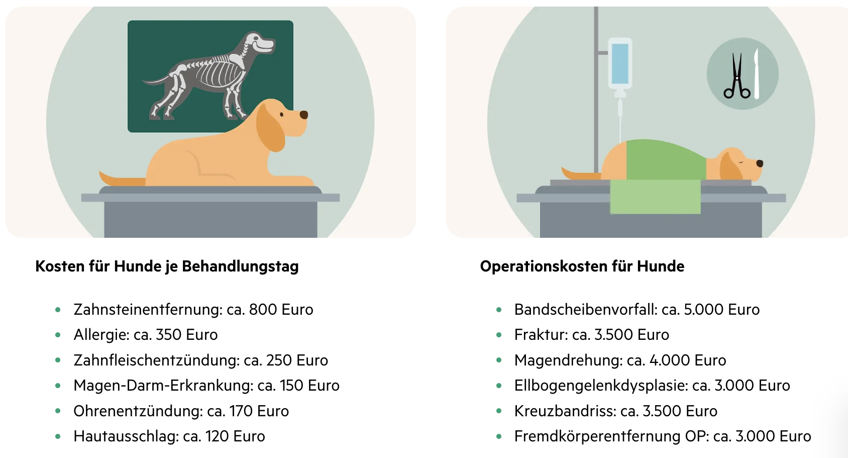 Behandlungs- und Operationskosten für Hunde